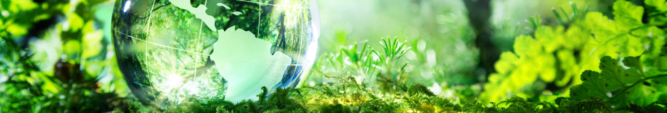 environnement Environnement