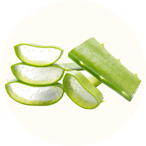 aloe vera bio