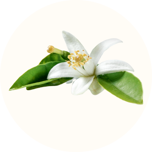 eau de fleur d'oranger eau de fleur d'oranger